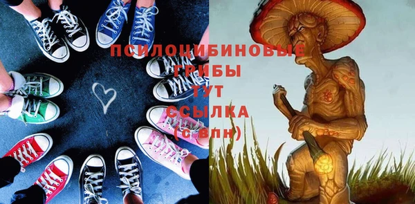 spice Баксан