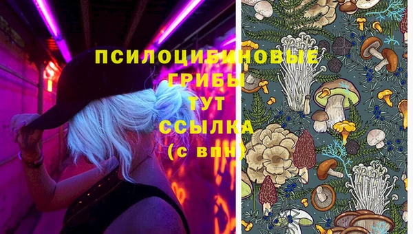 spice Баксан